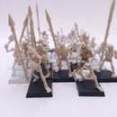 Warhammer Fantasy Old World: Games Workshop 1991 Skeletons AN027