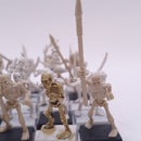 Warhammer Fantasy Old World: Games Workshop 1991 Skeletons AN027