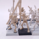 Warhammer Fantasy Old World: Games Workshop 1991 Skeletons AN027