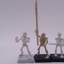 Warhammer Fantasy Old World: Games Workshop 1991 Skeletons AN027