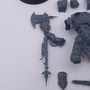 Warhammer 40k: Adeptus Custodes Shield-Captain in Allarus Terminator Armour AF077