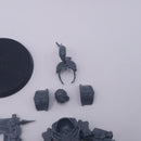 Warhammer 40k: Adeptus Custodes Shield-Captain in Allarus Terminator Armour AF077