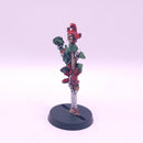 Bloodbowl Goblin Star Player Scrappa Sorehead - Painted BP068