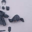 Warhammer 40k: Adeptus Custodes Shield-Captain in Allarus Terminator Armour AQ051