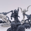 Warhammer 40k: Tyranid Hormagaunts BI027