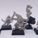 Warhammer Fantasy: Lizardmen Metal Skink Shaman and Skinks Bundle BH211
