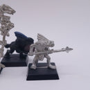 Warhammer Fantasy: Lizardmen Metal Skink Shaman and Skinks Bundle BH211