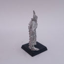 Warhammer Fantasy: Aeldari Metal Corsairs 1999 AW241