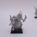 Warhammer Fantasy: Aeldari Metal Corsairs 1999 AW241