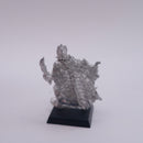 Warhammer Fantasy: Aeldari Metal Corsairs 1999 AW241