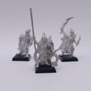 Warhammer Fantasy: Dark Elves Corsairs 1999 AH120
