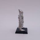 Warhammer Fantasy: Dark Elves Metal Corsairs 1999 AC118