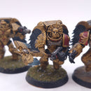 Warhammer 40k: Space Marines Sanguinary Guard 2010 BH193
