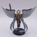 Warhammer 40k: Space Marines Sanguinor and Dantes BC214