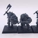 Warhammer The Old World: Chaos Marauders BI023
