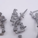Warhammer The Old World: The Empire Fighters AH142