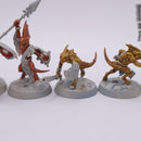 Warhammer Underworlds: The Starblood Stalkers Lizardmen Seraphon BR192