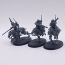 Warhammer 40k: Adeptus Mechanicus Serberys Raiders BR149