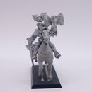 Warhammer The Old World: Elector Count of Hochland Aldebrand Ludenhof AE226