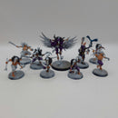 Warhammer Age of Sigmar Warcry Corvus Cabal Warband BH086
