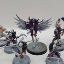 Warhammer Age of Sigmar Warcry Corvus Cabal Warband BH086