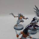 Warhammer Age of Sigmar Warcry Corvus Cabal Warband BH086
