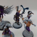 Warhammer Age of Sigmar Warcry Corvus Cabal Warband BH086