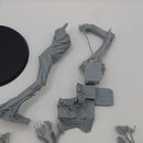 Warhammer Lord of the Rings Beechbone Ent Fangorn Forest BJ176