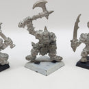 Warhammer the Old World Orc Command Group 1995 BJ137
