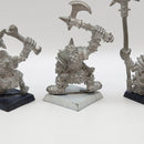 Warhammer the Old World Orc Command Group 1995 BJ137