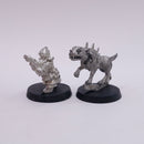 Warhammer Old World: Dwarf Thunderer Rifleman And Mordheim Dog BR200