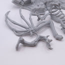 Reaper Bones: Kaladrax Skeletal Dragon Perfect for Roleplaying Games AB033