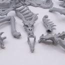 Reaper Bones: Kaladrax Skeletal Dragon Perfect for Roleplaying Games AB033
