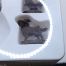 Animal Adventures: Dungeons and Doggies Miniatures Box 1 AS010