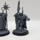 Warhammer Age of Sigmar Slaves to Darkness Chaos Lord and Scorcerer Lord BR012