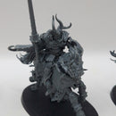 Warhammer Age of Sigmar Slaves to Darkness Chaos Knights BQ013