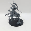Warhammer Age of Sigmar Slaves to Darkness Centaurion Marshal BQ011