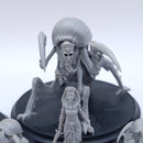 Mythos: Custos Crypta Job Lot Bundle AI107