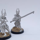 Warhammer 40k: Metal Dark Eldar Drukhari Incubi BO161
