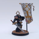Warhammer 40k: Space Marines Blood Angels Ancient Painted AP008
