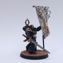 Warhammer 40k: Space Marines Blood Angels Ancient Painted AP008