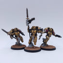 Warhammer 40k: Space Marines Blood Angels Sanguinary Guard Painted AF092