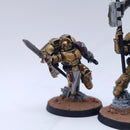 Warhammer 40k: Space Marines Blood Angels Sanguinary Guard Painted AF092