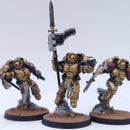 Warhammer 40k: Space Marines Blood Angels Sanguinary Guard Painted AF092
