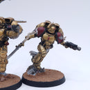 Warhammer 40k: Space Marines Blood Angels Sanguinary Guard Painted AF092