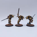 Warhammer 40k: Space Marines Blood Angels Sanguinary Guard Painted BP164