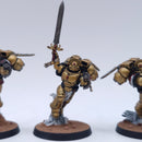 Warhammer 40k: Space Marines Blood Angels Sanguinary Guard Painted BP164