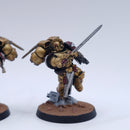 Warhammer 40k: Space Marines Blood Angels Sanguinary Guard Painted BP164