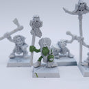 Warhammer Old World: Forest Goblin Shaman Leader Drummer Standard Bundle BI082
