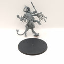 Warhammer Age of Sigmar Centaurian Marshal AF071